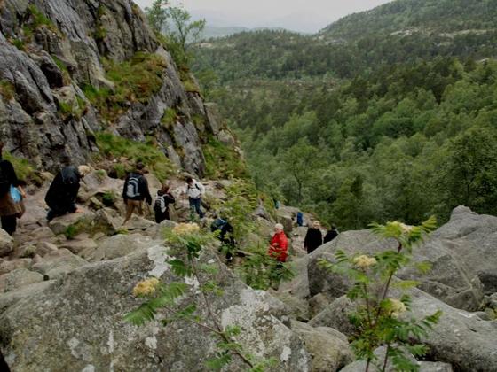 IMG 2116 Man ist hier selden alleine auf dem weg nach Prekestolen