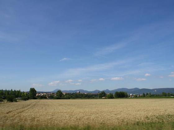 IMG 6541