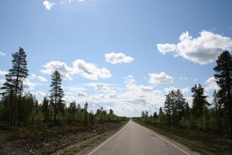 Rast Lemmenjoki Nationalpark7
