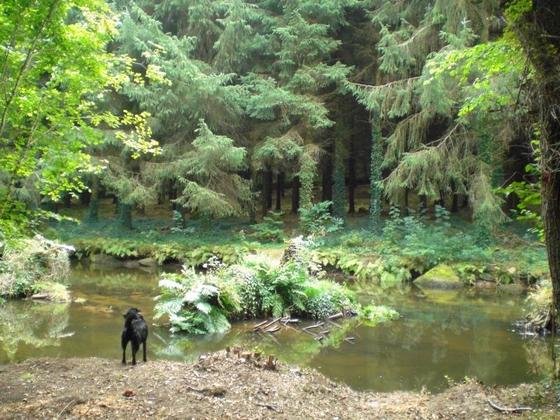 205 Wanderung am Aven im Bois de Amour