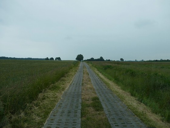 800 0862