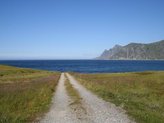 Lofoten0466