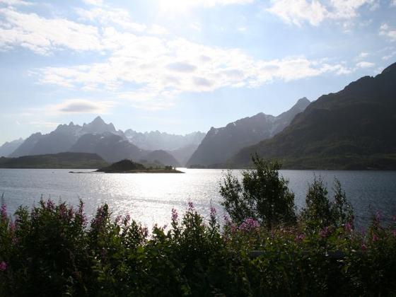 Lofoten0556