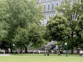 IMG 7472 Lourdes