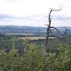 Aussicht vom Paffenstein