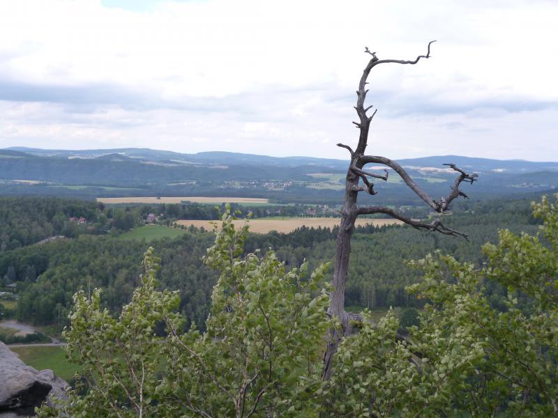 Aussicht vom Paffenstein