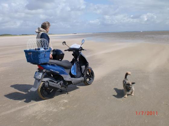 Am Strand von Römö! Kymky 125! Das Körbchen hat einen  Überwurf,dami der Junge nicht rauspurzelt.