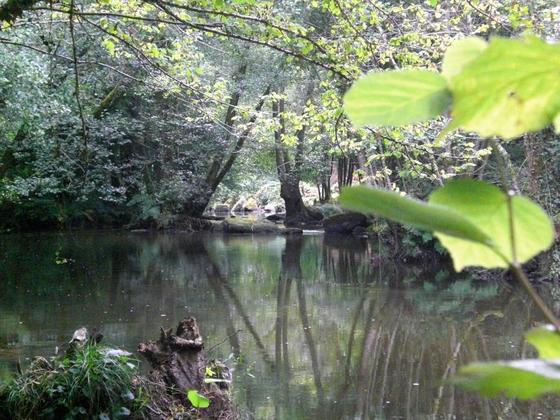 214 Wanderung am Aven im Bois de Amour